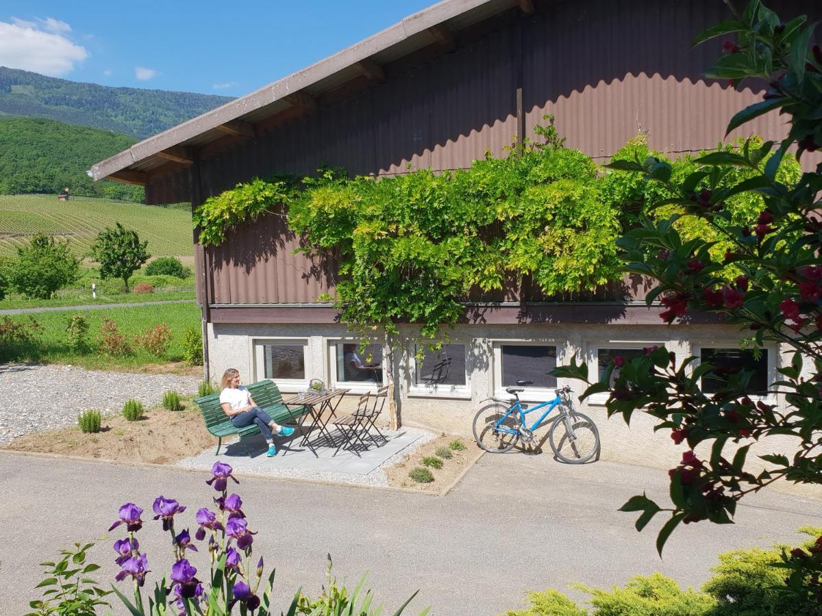 Guest house Loft Nap Bonvillars, Switzerland - book now, 2026 prices
